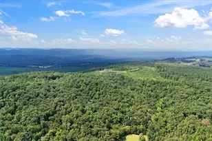 664 Wiggins Rd, Lyerly, GA 30730 - Photo 63