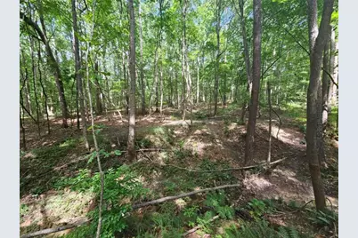 0 Clark Drive, Ellenwood, GA 30294 - Photo 27