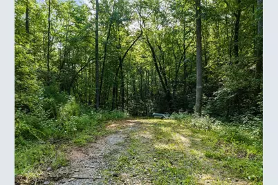 2041 Long Branch Road, Dahlonega, GA 30533 - Photo 5