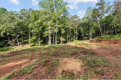 2041 Long Branch Road, Dahlonega, GA 30533 - Photo 3