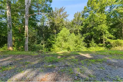 256 Astin Creek Road, Villa Rica, GA 30180 - Photo 39