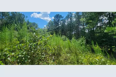 1318 Golden Way, Loganville, GA 30052 - Photo 7