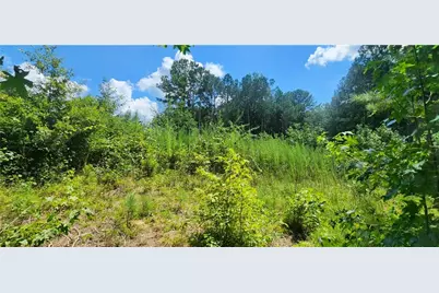 1318 Golden Way, Loganville, GA 30052 - Photo 9