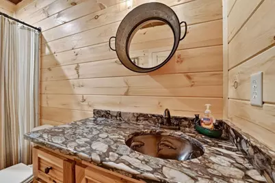 125 Blackberry Drive, Mineral Bluff, GA 30559 - Photo 35