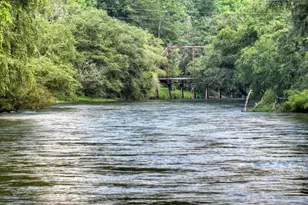 125 Blackberry Dr, Mineral Bluff, GA 30559 - Photo 5