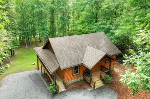 125 Blackberry Dr, Mineral Bluff, GA 30559 - Photo 47