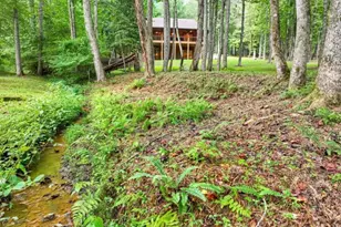 125 Blackberry Dr, Mineral Bluff, GA 30559 - Photo 37