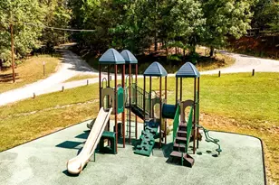 145 Rockingham Wy, Ellijay, GA 30540 - Photo 61