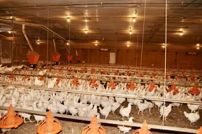 993 Sexton Road, Resaca, GA 30735 - Photo 17