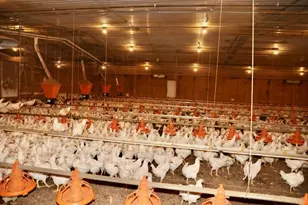 993 Sexton Rd, Resaca, GA 30735 - Photo 17