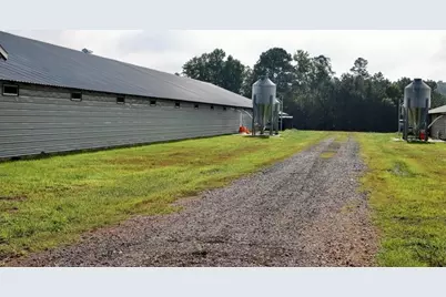 993 Sexton Road, Resaca, GA 30735 - Photo 19