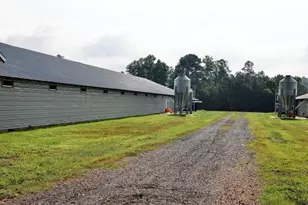 993 Sexton Rd, Resaca, GA 30735 - Photo 19