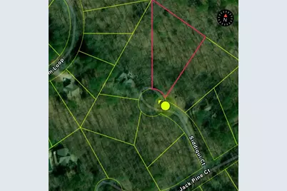 110 Siddiqui Court, Waleska, GA 30183 - Photo 7