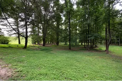 735 Hammock Lane, Milton, GA 30004 - Photo 11