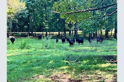 6223 Hulsey Road, Clermont, GA 30527 - Photo 7