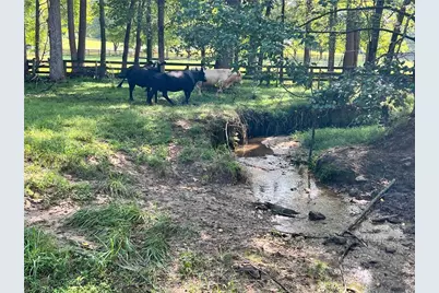 6223 Hulsey Road, Clermont, GA 30527 - Photo 9