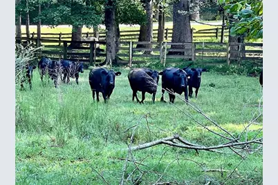 6223 Hulsey Road, Clermont, GA 30527 - Photo 5