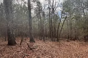 850 Bethel Church Rd SE, Silver Creek, GA 30173 - Photo 69