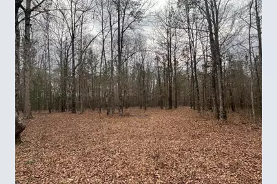 850 Bethel Church Road SE, Silver Creek, GA 30173 - Photo 87