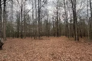 850 Bethel Church Rd SE, Silver Creek, GA 30173 - Photo 87