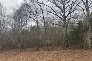 850 Bethel Church Rd SE, Silver Creek, GA 30173 - Photo 97