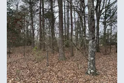 850 Bethel Church Road SE, Silver Creek, GA 30173 - Photo 103