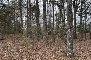 850 Bethel Church Rd SE, Silver Creek, GA 30173 - Photo 103