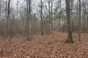 850 Bethel Church Rd SE, Silver Creek, GA 30173 - Photo 93