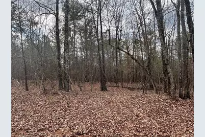 850 Bethel Church Road SE, Silver Creek, GA 30173 - Photo 61