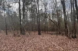 850 Bethel Church Rd SE, Silver Creek, GA 30173 - Photo 61