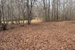 850 Bethel Church Rd SE, Silver Creek, GA 30173 - Photo 71