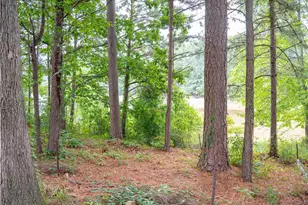 1860 Pinehurst View Dr, Grayson, GA 30017 - Photo 17