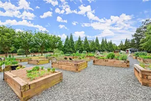 3133 Scarlet Oak Ln, Gainesville, GA 30504 - Photo 25