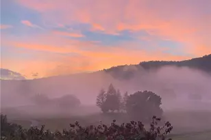 1024 Bear Paw Ridge, Dahlonega, GA 30533 - Photo 33