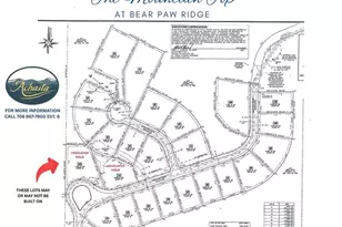 1024 Bear Paw Ridge, Dahlonega, GA 30533 - Photo 7