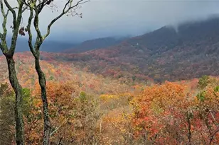 188 Tea Berry Ln, Jasper, GA 30143 - Photo 49