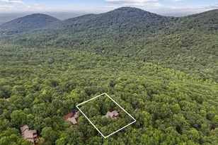 188 Tea Berry Ln, Jasper, GA 30143 - Photo 45