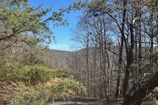 257 Andes Ridge, Ellijay, GA 30536 - Photo 1