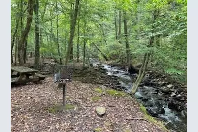 257 Andes Ridge, Ellijay, GA 30536 - Photo 21