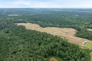 83 Beautyberry Ln, Dallas, GA 30132 - Photo 39