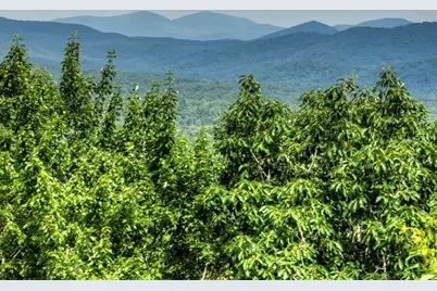 417 Bill Claypool Drive, Blue Ridge, GA 30513 - Photo 55