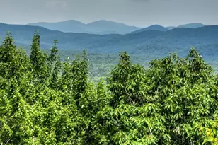 417 Bill Claypool Dr, Blue Ridge, GA 30513 - Photo 55