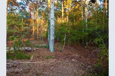 2392 Bethel Road, Conyers, GA 30012 - Photo 5