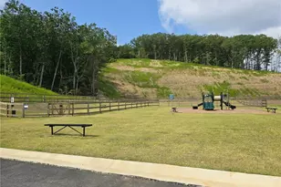 313 Skye Ln, Cartersville, GA 30121 - Photo 19