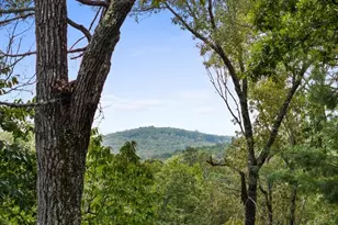 4 Shalom Ln, Blue Ridge, GA 30513 - Photo 5