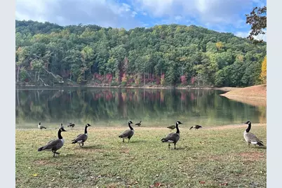 197 Stirratt Road, Ranger, GA 30734 - Photo 15