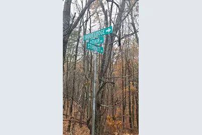 197 Stirratt Road, Ranger, GA 30734 - Photo 25