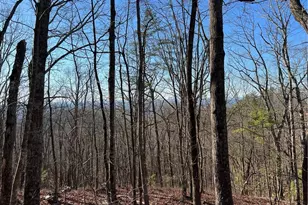 197 Stirratt Rd, Ranger, GA 30734 - Photo 1