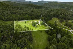 8393 Boardtown Rd, Ellijay, GA 30540 - Photo 49