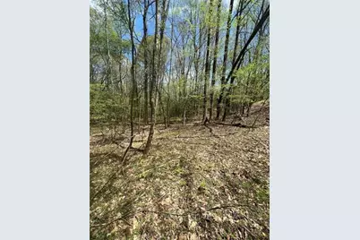 0 Holly Court, Ellijay, GA 30536 - Photo 3